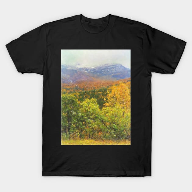 Autumnal Trees and Misty Mountains T-Shirt by IanWL